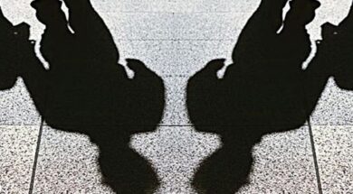 xylodarmos-1024×556-1024×556-1