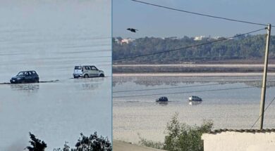 ΑΛΥΚΗ – ΑΥΤΟΚΙΝΗΤΑ