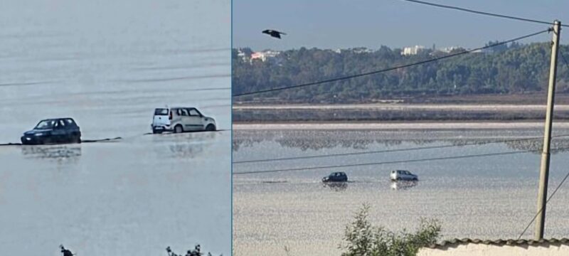 ΑΛΥΚΗ – ΑΥΤΟΚΙΝΗΤΑ