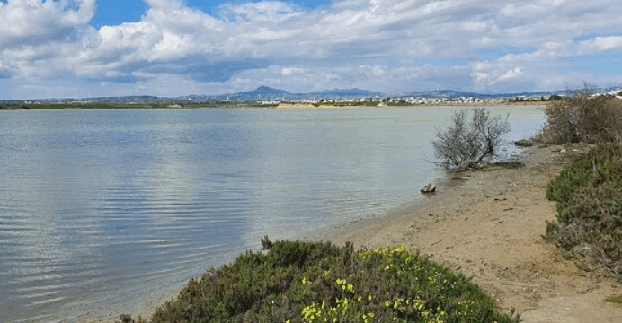 ΑΛΥΚΗ ΛΑΡΝΑΚΑΣ 1