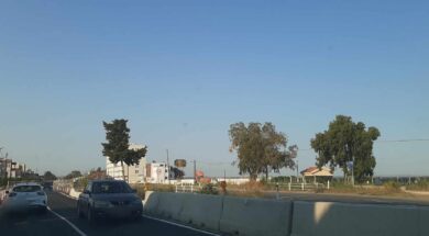 ΔΡΟΜΟΣ ΛΑΡΝΑΚΑΣ- ΔΕΚΕΛΕΙΑΣ 2