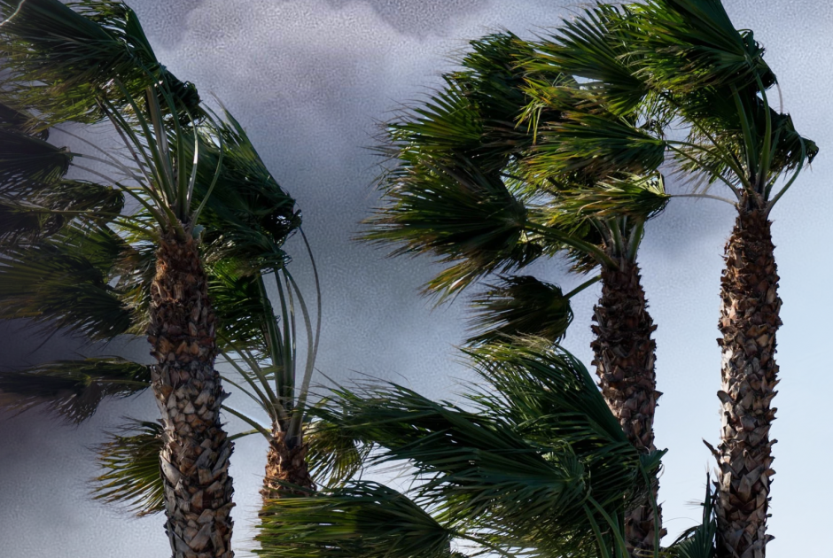 Καιρός: Έρχονται ισχυροί άνεμοι και σκόνη