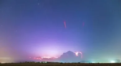 11615051906213302796-thumb