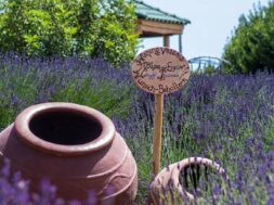 28856-sitesdefaultfiles32293831_1.2e16d0ba.fill-1375×729