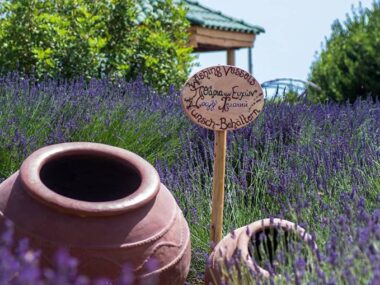 28856-sitesdefaultfiles32293831_1.2e16d0ba.fill-1375×729