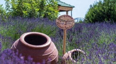 28856-sitesdefaultfiles32293831_1.2e16d0ba.fill-1375×729