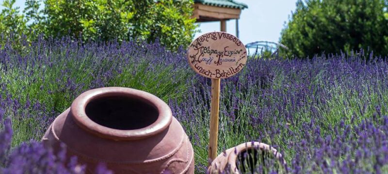 28856-sitesdefaultfiles32293831_1.2e16d0ba.fill-1375×729