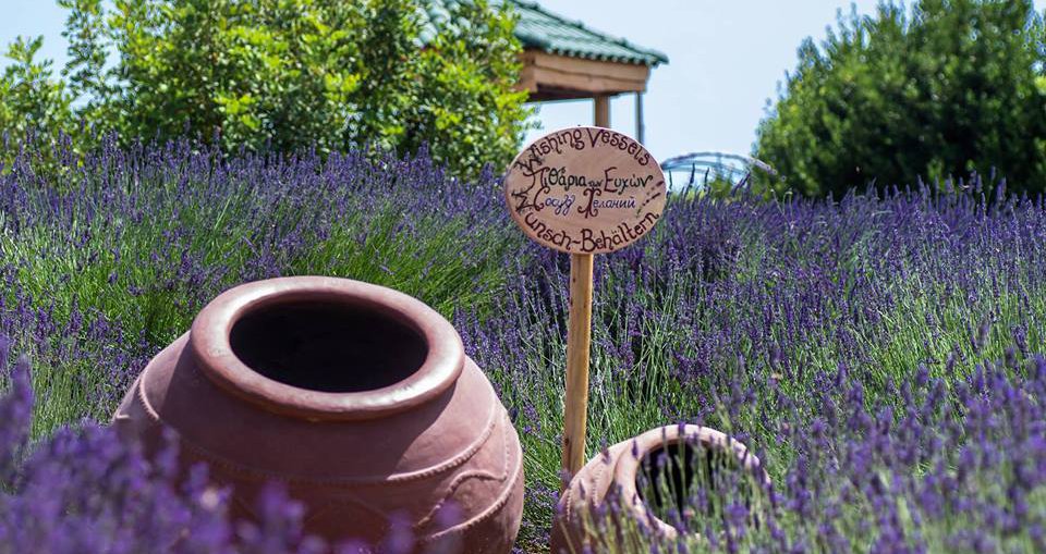 Στα σκαριά μεγάλο Βοτανικό Πάρκο στη Χοιροκοιτία