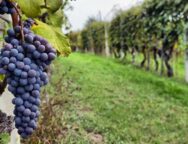 28bb5ca8326944598de155934fbc39dd