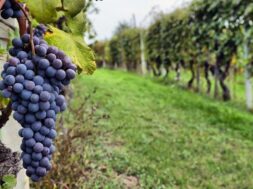 28bb5ca8326944598de155934fbc39dd