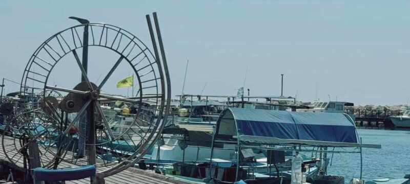 3100a587-e8e1-42c0-bc0c-67f76d18ab5f