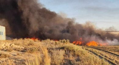 356794214_261117036650012_3750295506718501691_n