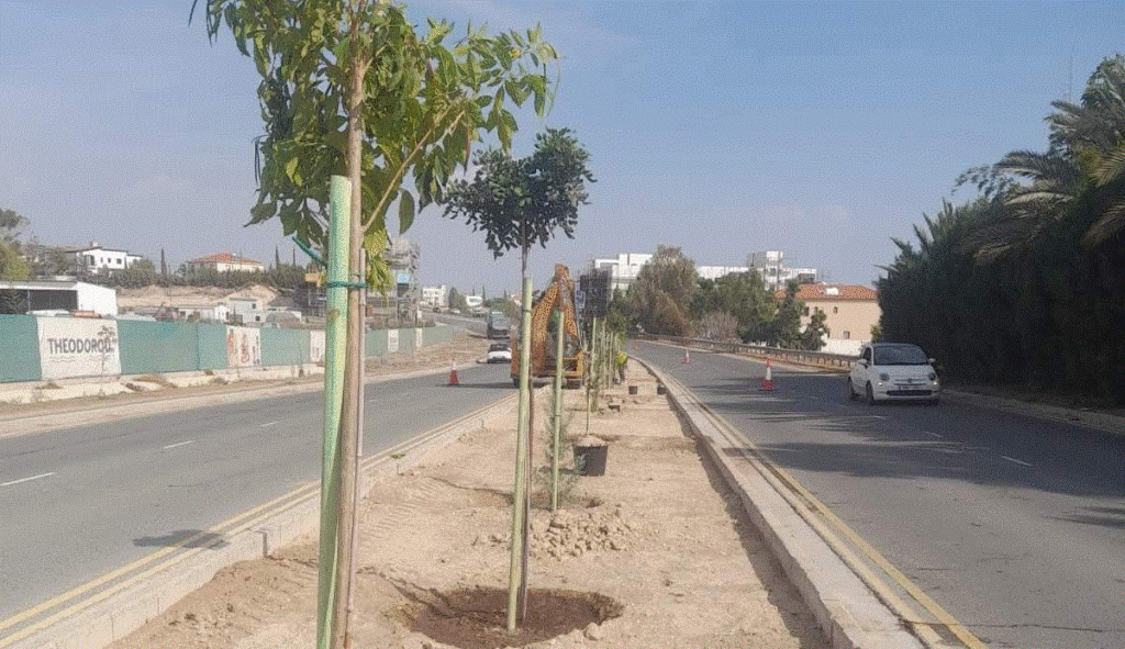 Έναρξη χωματουργικών εργασιών και τοποθέτησης πρασίνου στη Λεωφόρο Ελλάδος στην Αραδίππου