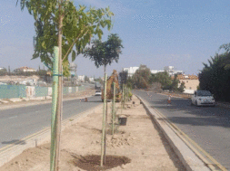 561346168_1291317886361523_4580799710238013822_n