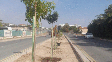 561346168_1291317886361523_4580799710238013822_n