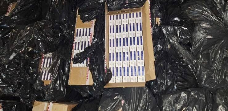 576926384_1266058528895398_5104236035325551003_n