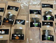 579930200_1266611045507573_7896580045933533820_n