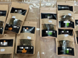 579930200_1266611045507573_7896580045933533820_n