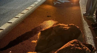 580516930_2621781744843887_7684195910680449496_n-thumb