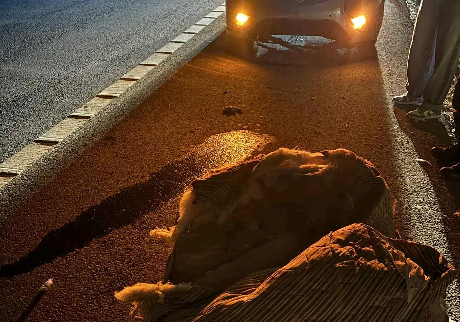 Οδηγός προσέκρουσε σε στρώμα στον αυτοκινητόδρομο Λεμεσού – Λευκωσίας   (φώτο)