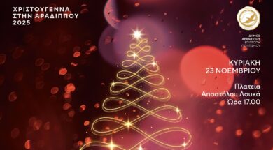 583327597_1298542238972421_7437958577975541429_n