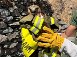 585077030_10234865223763041_3408039808626350859_n-thumb