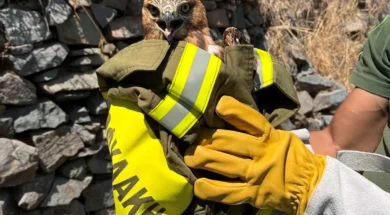 585077030_10234865223763041_3408039808626350859_n-thumb