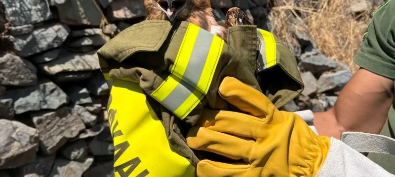 585077030_10234865223763041_3408039808626350859_n-thumb