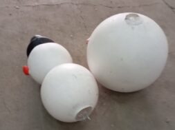 586782182_1321787253325292_6992628091071835148_n