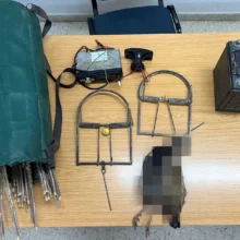 588401204_1263147072519878_8445433444315388190_n-thumb