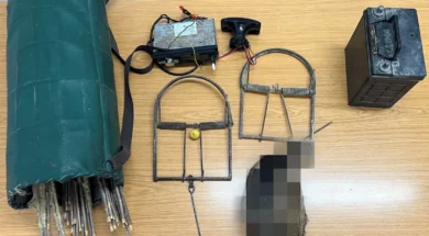 588401204_1263147072519878_8445433444315388190_n-thumb