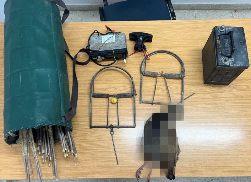 588401204_1263147072519878_8445433444315388190_n-thumb