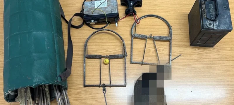 588401204_1263147072519878_8445433444315388190_n-thumb