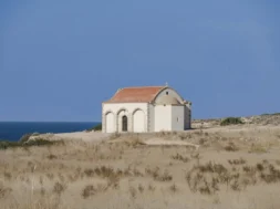 590517729_10234266963870153_8482206727046131123_n-thumb (1)