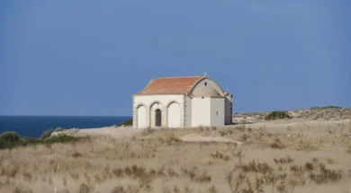 590517729_10234266963870153_8482206727046131123_n-thumb (1)