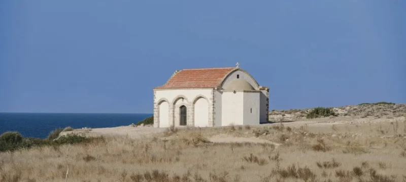 590517729_10234266963870153_8482206727046131123_n-thumb (1)