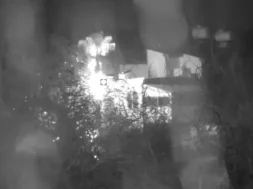 67868678678786687-thumb