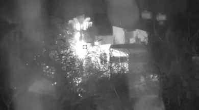 67868678678786687-thumb