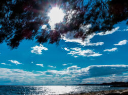 6f5997c28fa78277b65f981d49faedec_XL