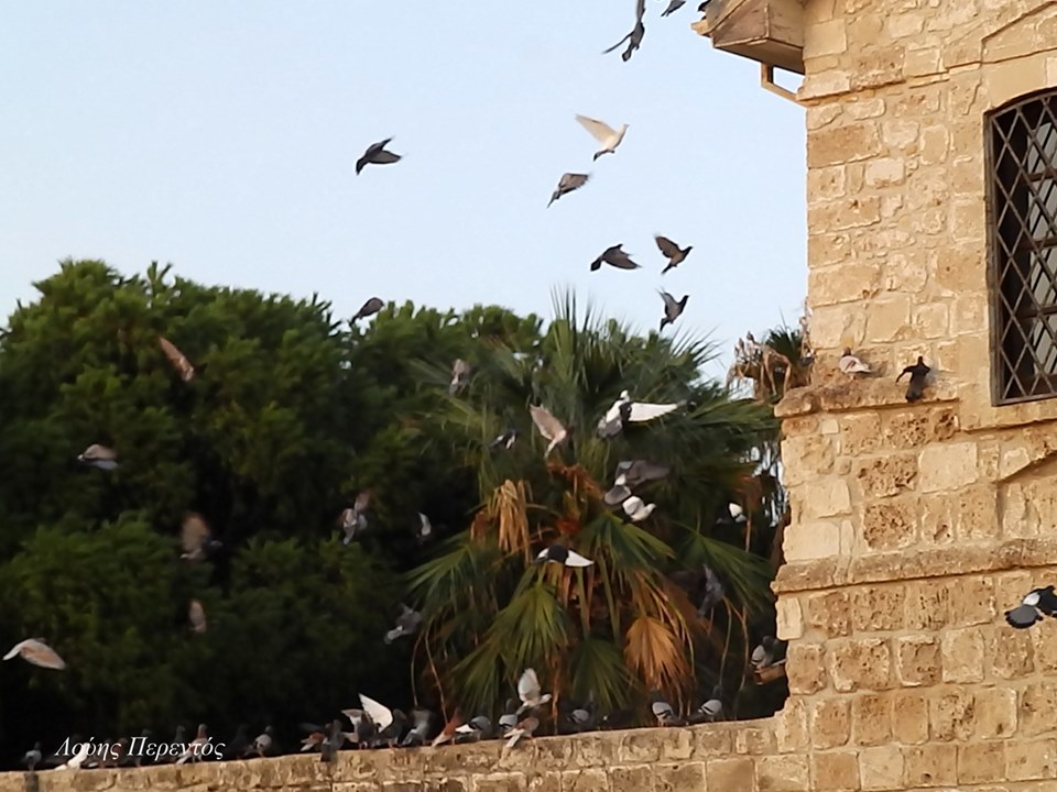 Η πρωινή ενημέρωση της ημέρας από τη Σκαλιώτισσα