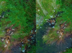 78678768768768678678-thumb