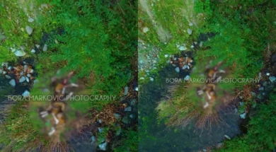 78678768768768678678-thumb