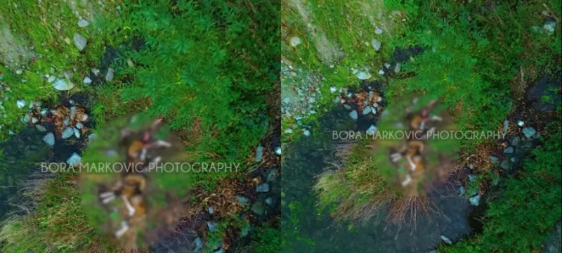 78678768768768678678-thumb