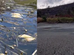 78687678678678678678-thumb