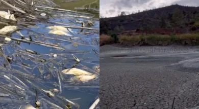 78687678678678678678-thumb