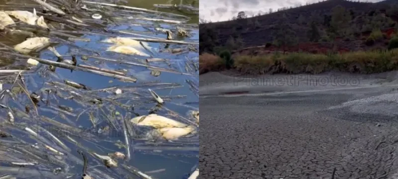 78687678678678678678-thumb