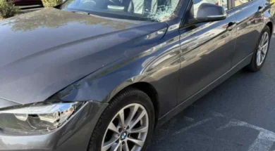 78687787878786-thumb