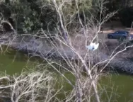 897987979879876987-thumb