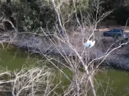 897987979879876987-thumb