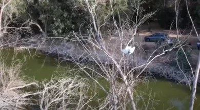 897987979879876987-thumb